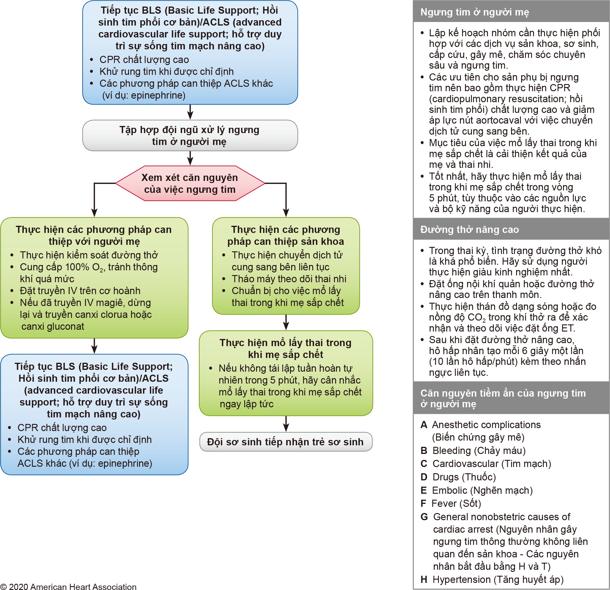 Để yêu cầu mô tả dài riêng về hình ảnh này, vui lòng liên hệ với American Heart Association tại địa chỉ ECCEditorial@heart.org hoặc 1-214-706-1886.