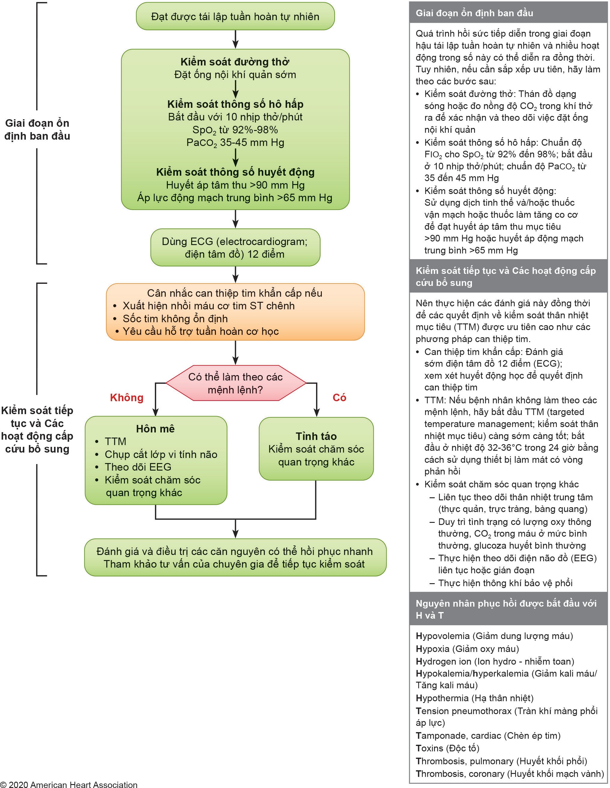 Để yêu cầu mô tả dài riêng về hình ảnh này, vui lòng liên hệ với American Heart Association tại địa chỉ ECCEditorial@heart.org hoặc 1-214-706-1886.