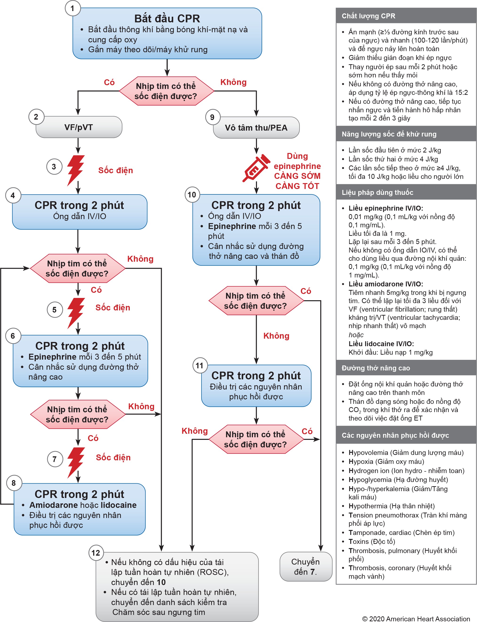 Để yêu cầu mô tả dài riêng về hình ảnh này, vui lòng liên hệ với American Heart Association tại địa chỉ ECCEditorial@heart.org hoặc 1-214-706-1886.