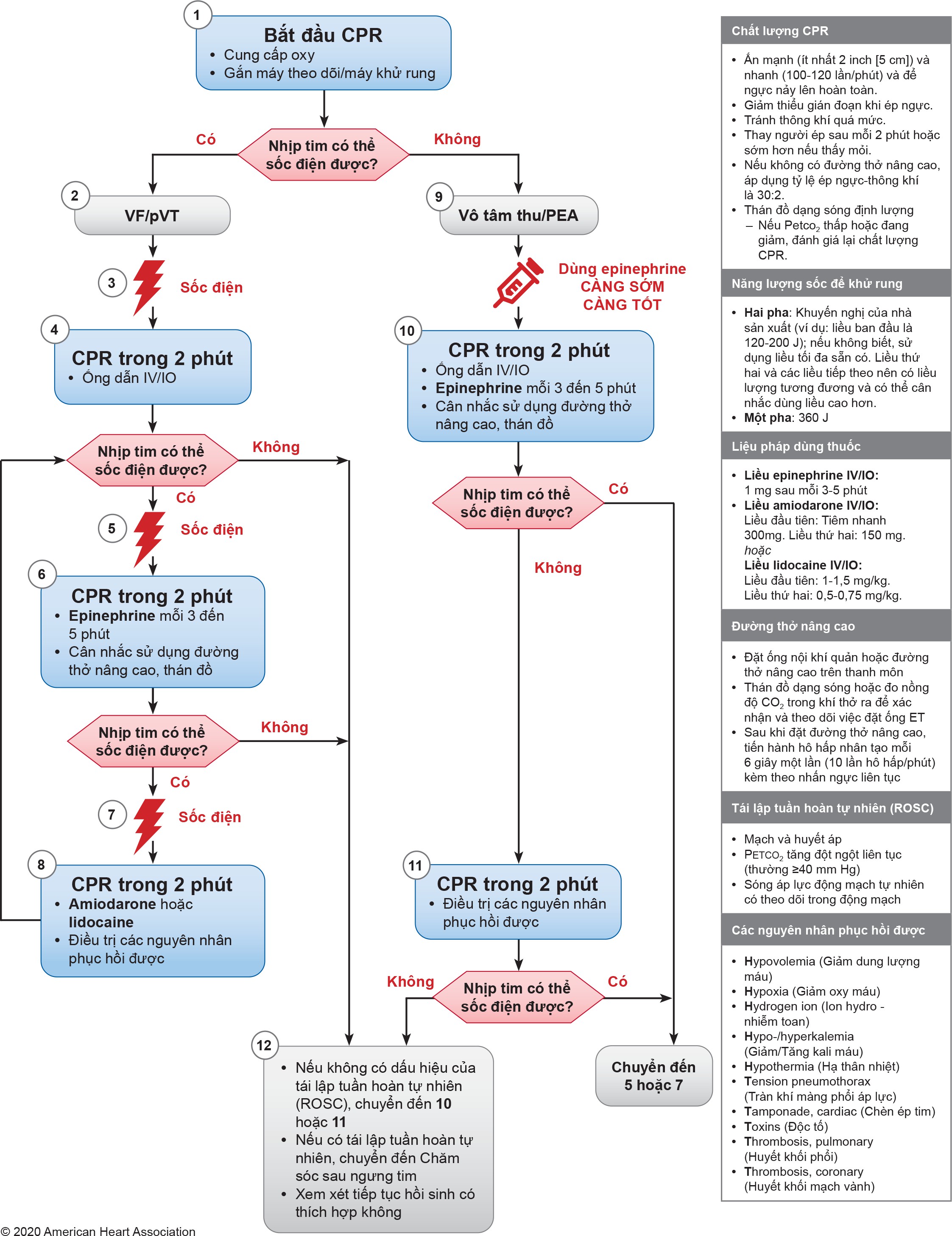Để yêu cầu mô tả dài riêng về hình ảnh này, vui lòng liên hệ với American Heart Association tại địa chỉ ECCEditorial@heart.org hoặc 1-214-706-1886.